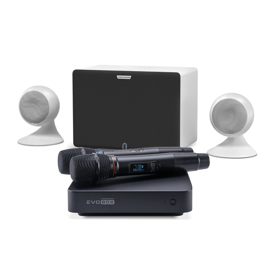 караоке-комплект EVOBOX Classic + EvoSound Sphere 2.1 в Надыме