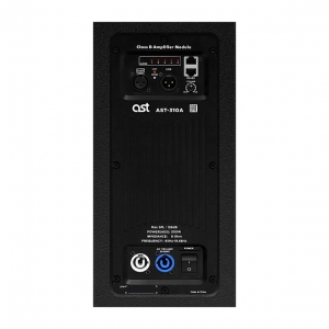 Активная акустическая система AST-310A в Надыме