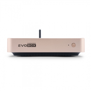 EVOBOX Plus караоке-система для дома в Надыме
