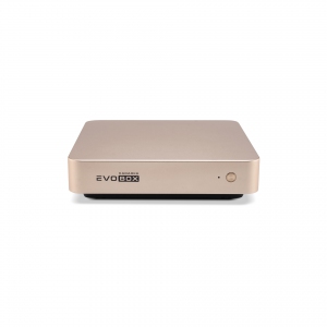 EVOBOX с микрофонами в Надыме